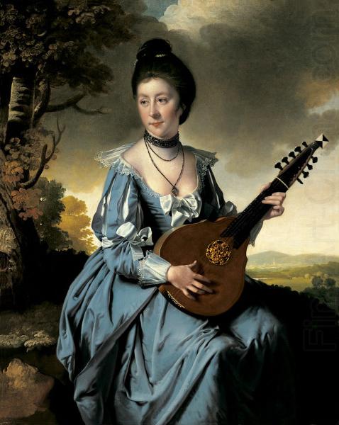 Joseph wright of derby Portrait of Mrs. Robert Gwillym china oil painting image